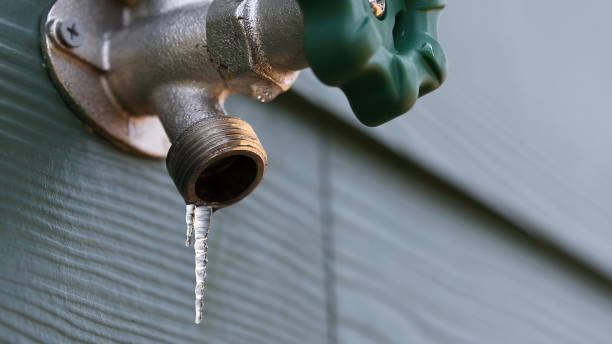Best Sprinkler Systems  in Madison, FL